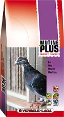 Mutine Plus